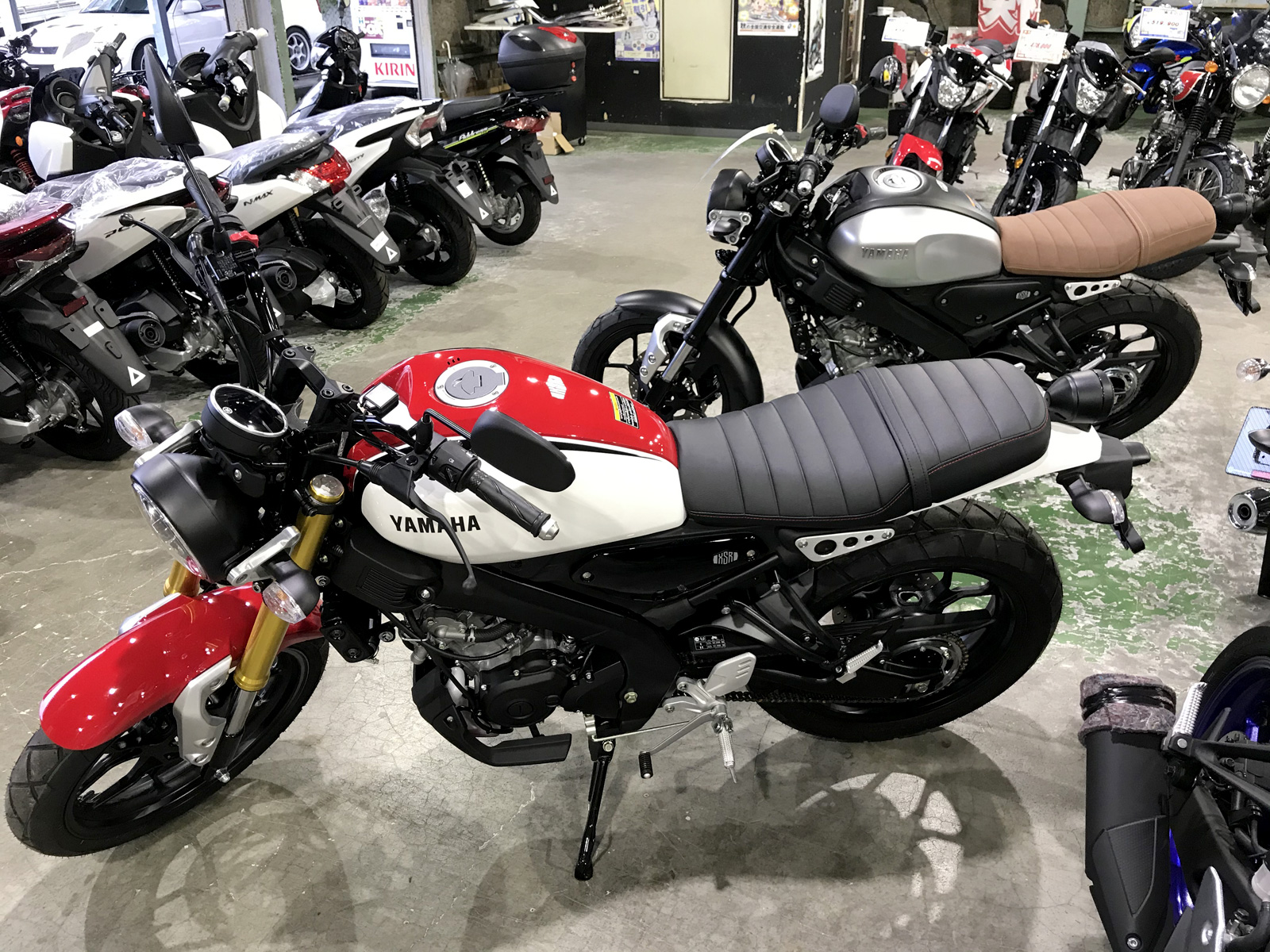 YAMAHA XSR155
