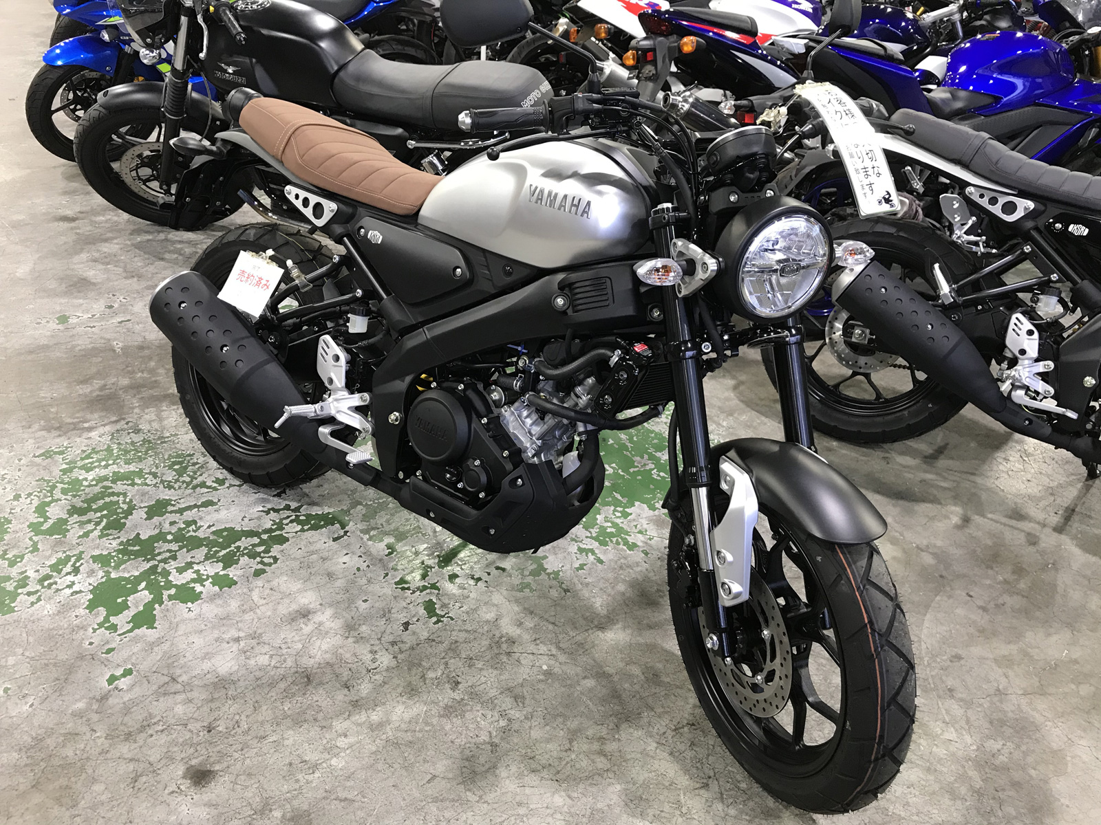 YAMAHA XSR155