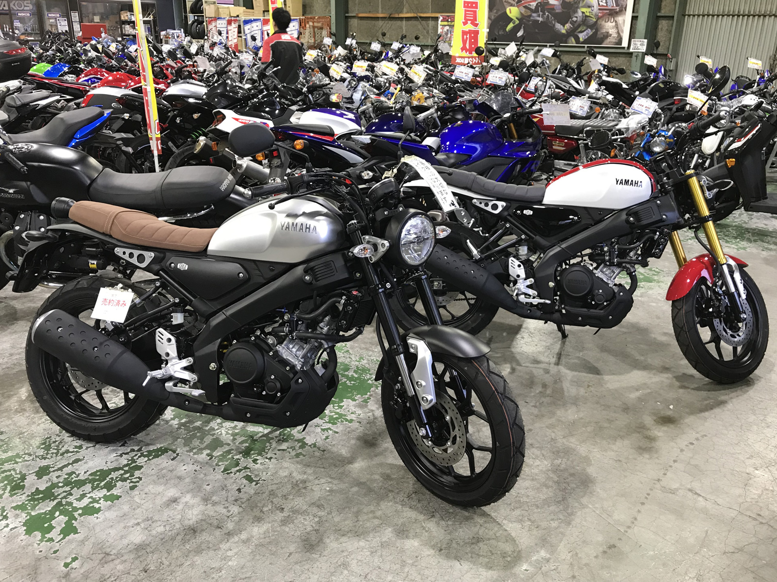 YAMAHA XSR155