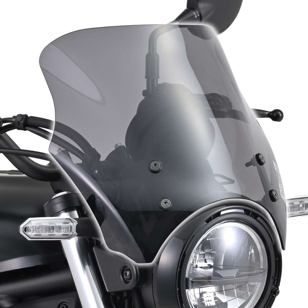 KAWASAKI ELIMINATOR（エリミネーター/EL400A） DAYTONA（デイトナ）ブラストバリアー クリアー